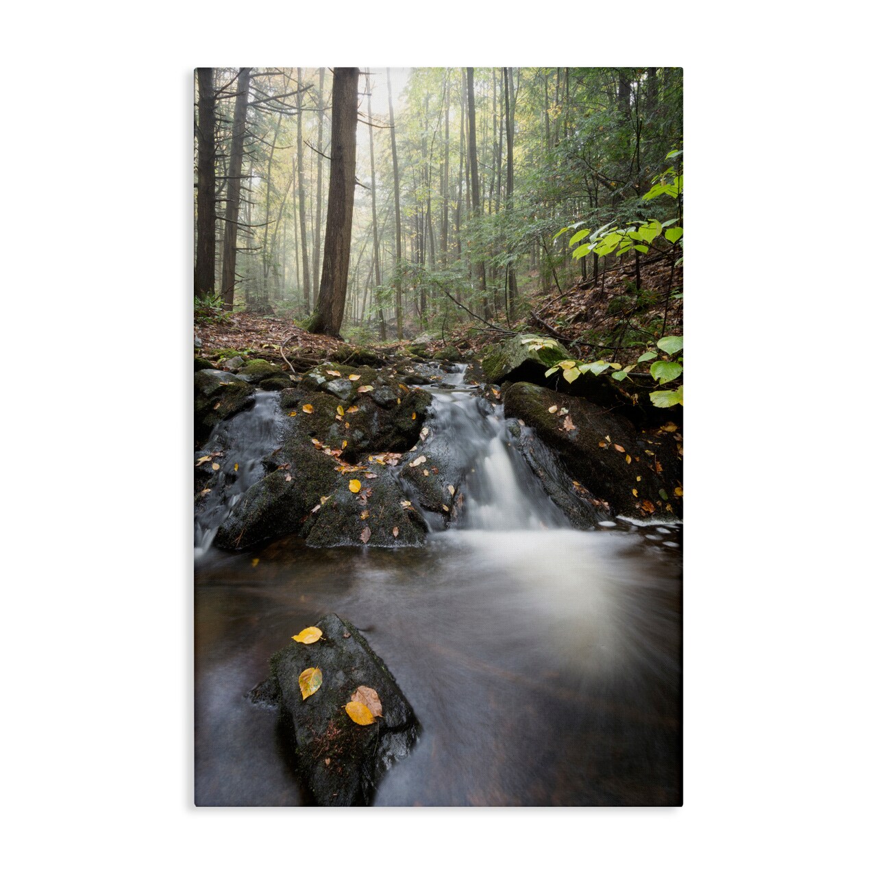 Stupell Industries Misty Stream Adirondacks Canvas, design by James Rodewald
